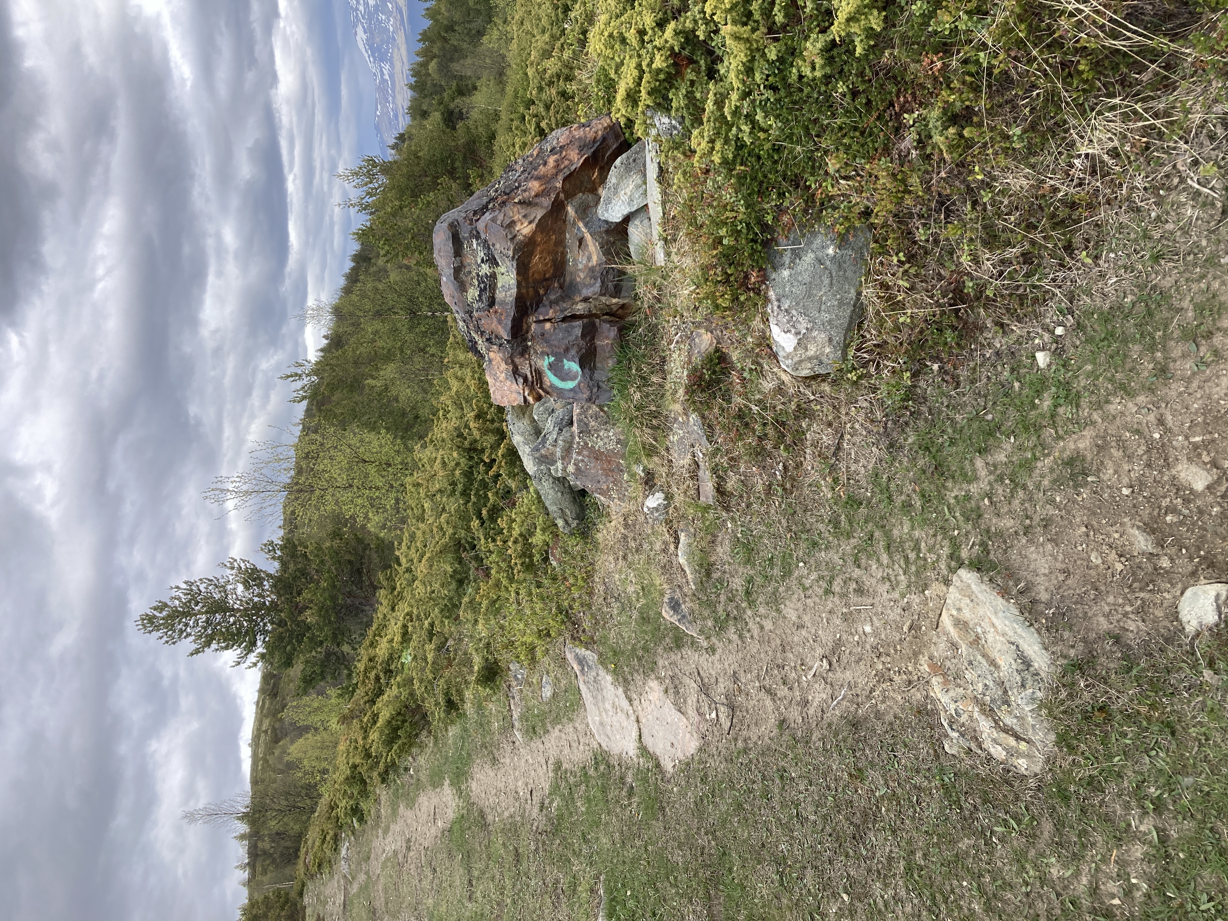 Bronstein 0512580-6875975 Juni -25 Foto: MK