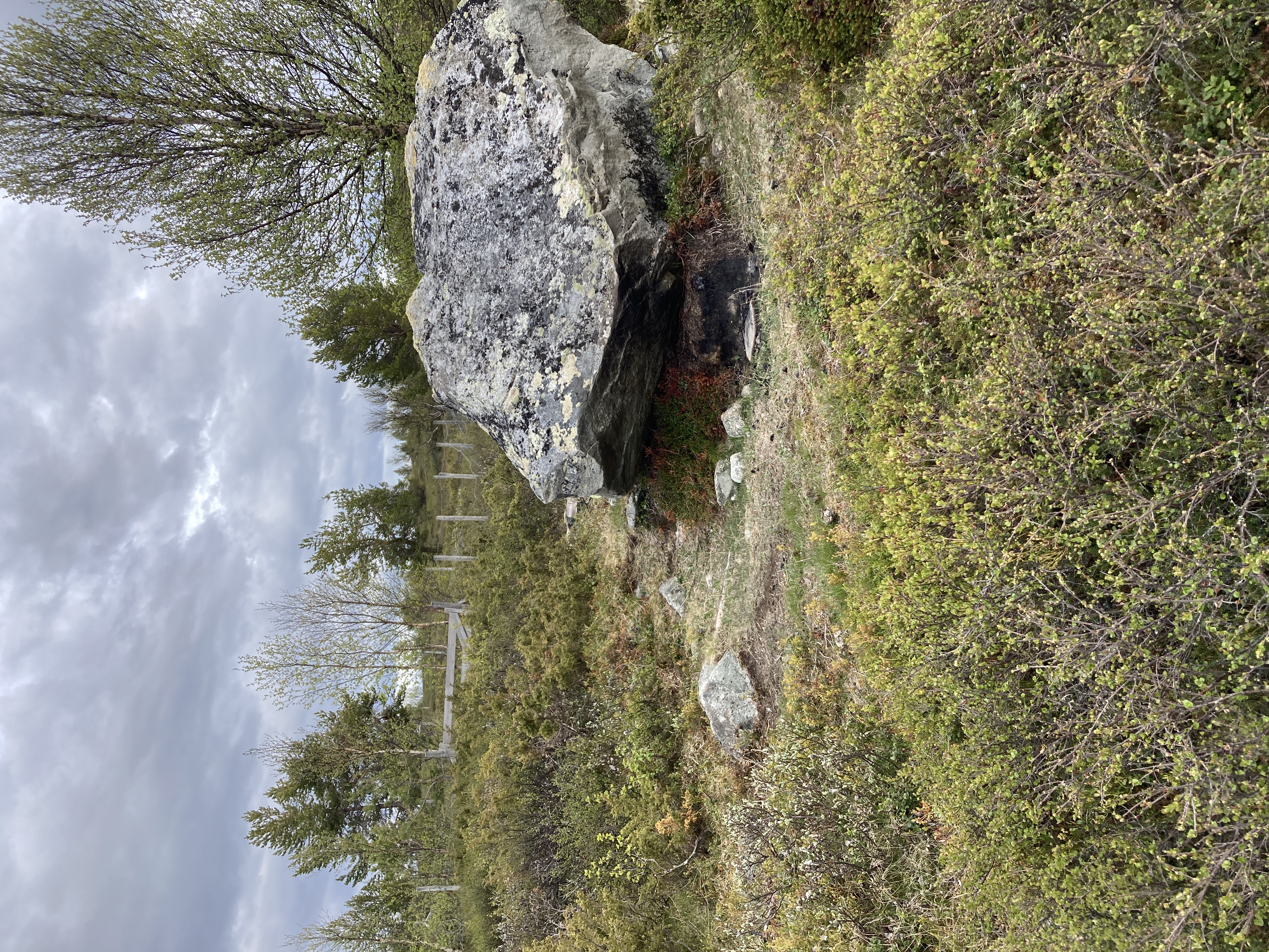 Pannekakestein foran sankekve 0512993-6875876 Foto: MK