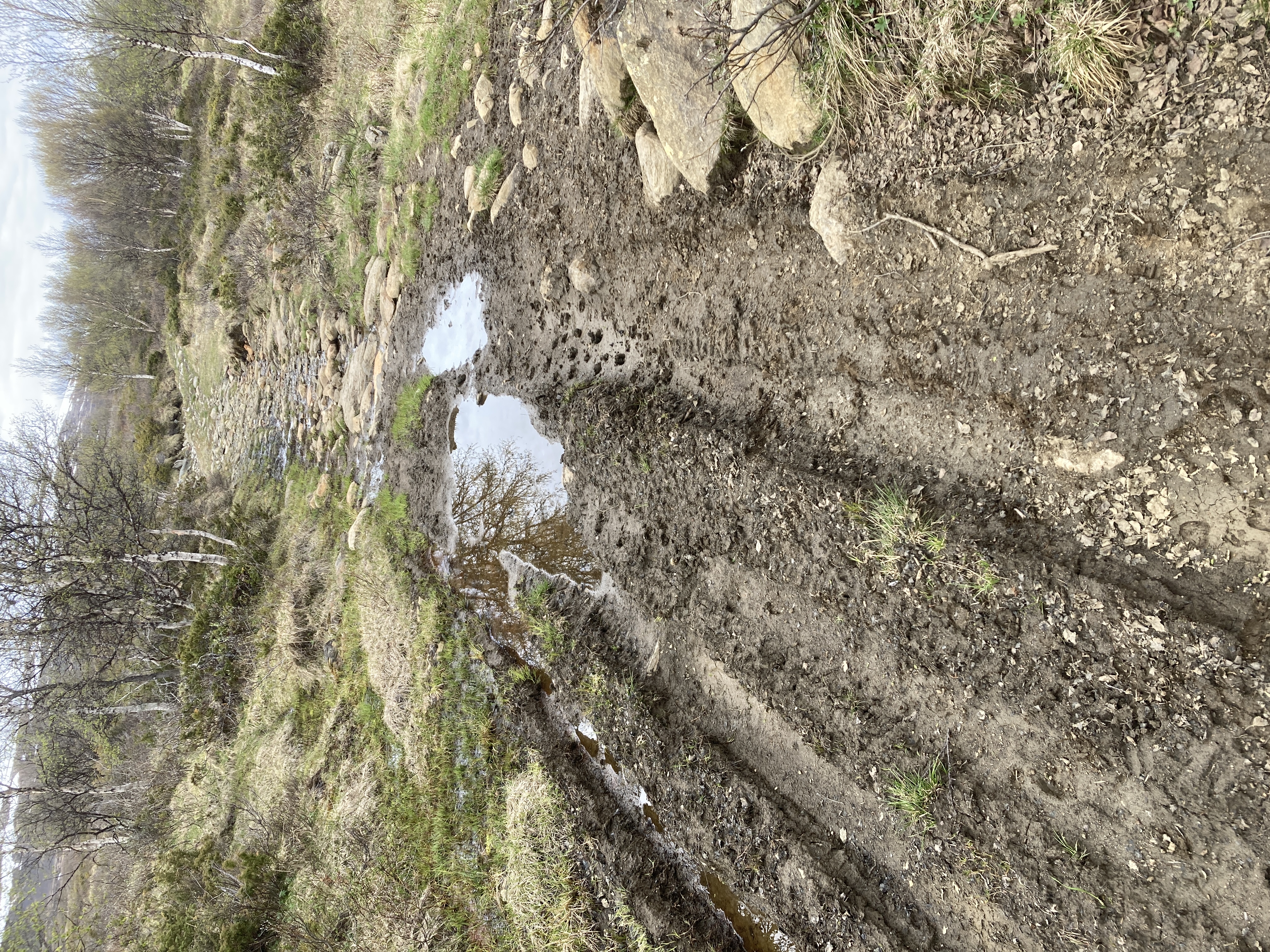 «Jønmyrudalen». 0514523-6876762 Foto: MK