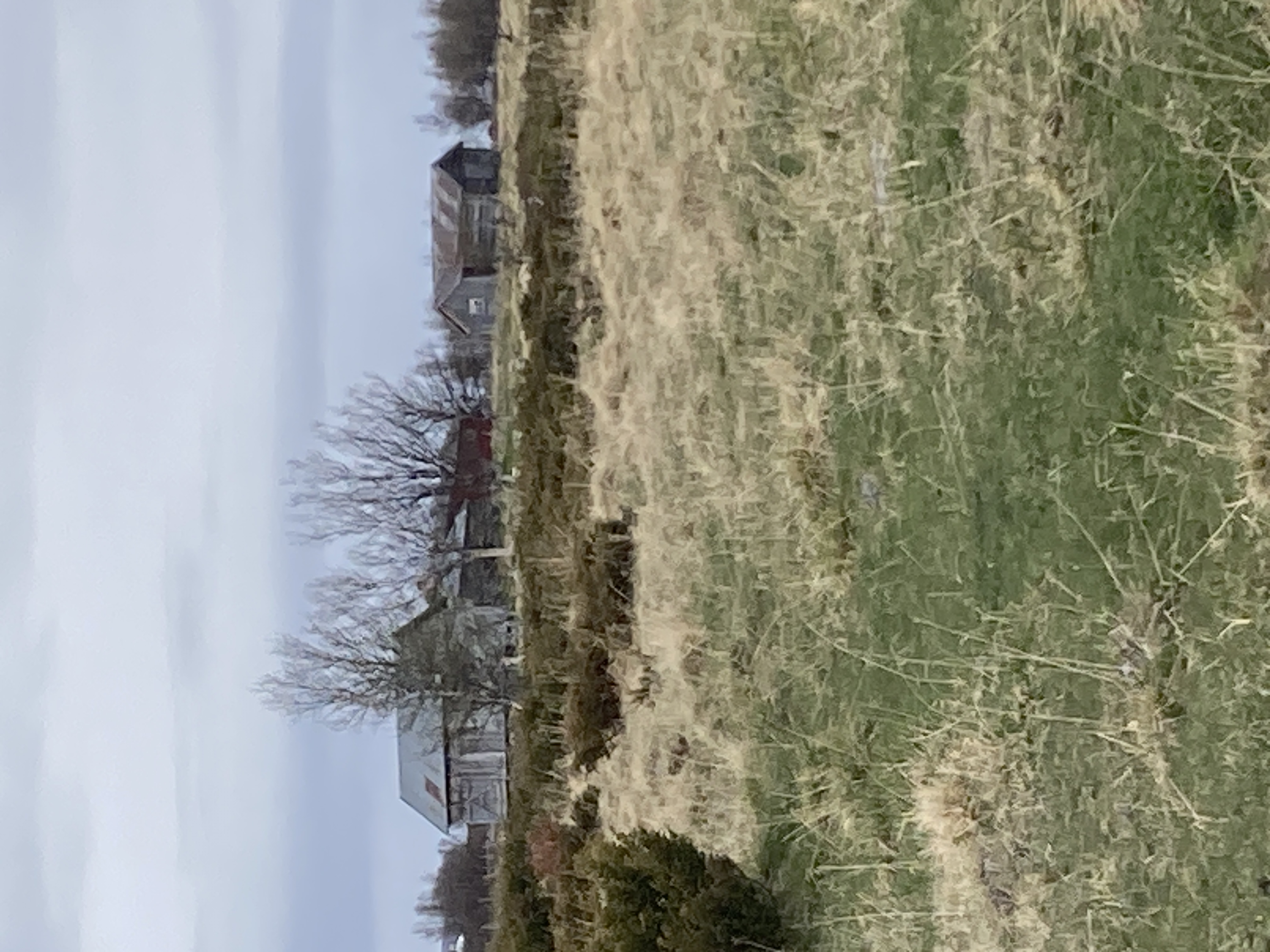 Haugjesætre 0514909-6877020 Foto: MK