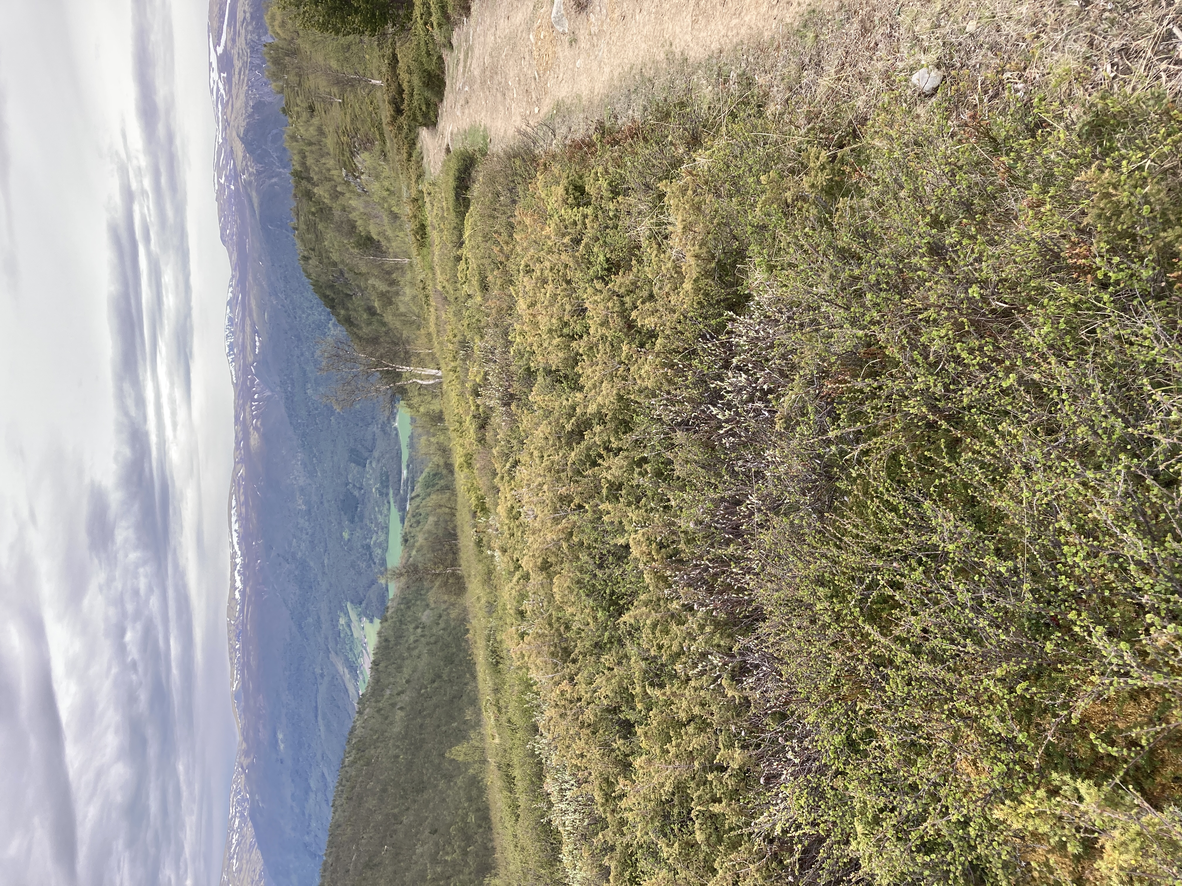 Frå her såg èin klokketårnet på Tofte 0514185-6876382 Foto: MK